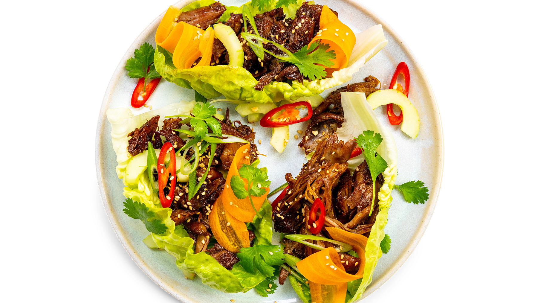 Hoisin Duck Wraps