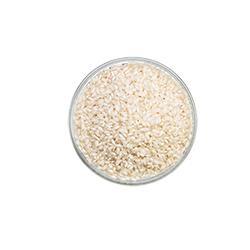 short grain rice