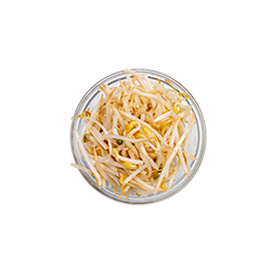 beansprouts