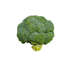 broccoli