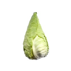 sweetheart cabbage