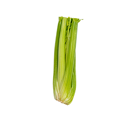 celery
