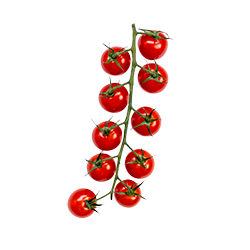 cherry tomatoes