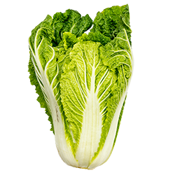Chinese cabbage
