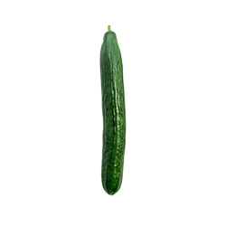 cucumber