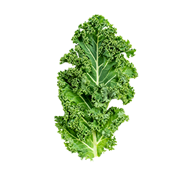 curly kale