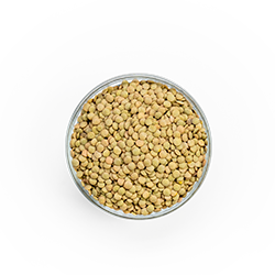 green lentils