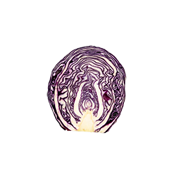 red cabbage