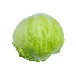 iceberg lettuce