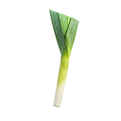 leek