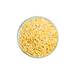 orzo