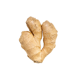 fresh ginger