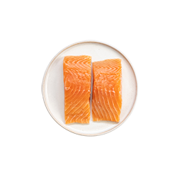 salmon fillets