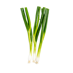 spring onion