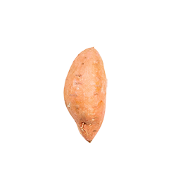 sweet potato