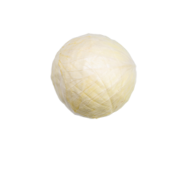 white cabbage