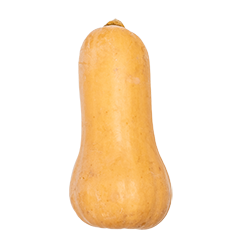 butternut squash