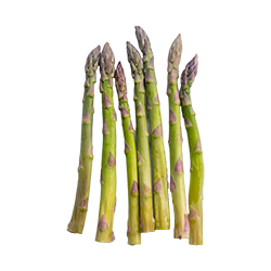asparagus