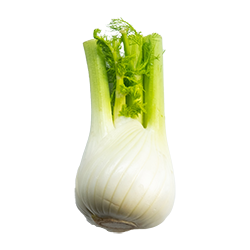 fennel