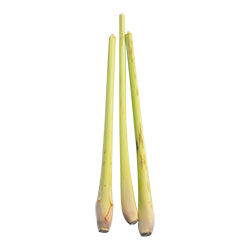 lemongrass