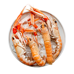 Dublin Bay prawns