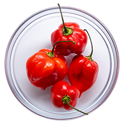 scotch bonnet chillies