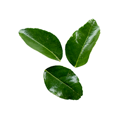 kaffir lime leaves