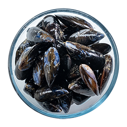 mussels